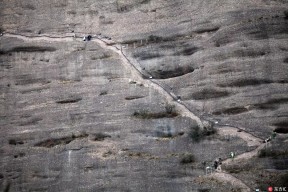 开云体育 -柔道夜战：剑门飞鹰队逆转江畔犀牛队，主帅临场妙招韧性与执行并存的简单介绍